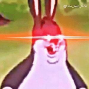 Meet your Posher, Bradyn